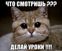 что смотришь ??? делай уроки !!!