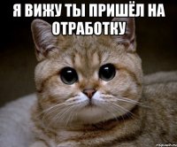 я вижу ты пришёл на отработку 