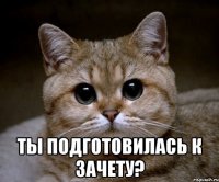  ты подготовилась к зачету?