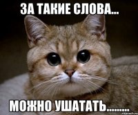 за такие слова... можно ушатать.........