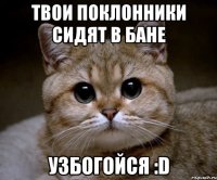 твои поклонники сидят в бане узбогойся :d