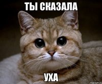 ты сказала уха