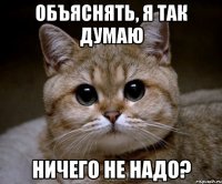 объяснять, я так думаю ничего не надо?