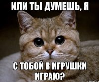 или ты думешь, я с тобой в игрушки играю?