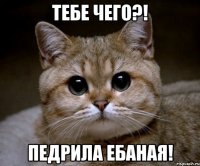 тебе чего?! педрила ебаная!