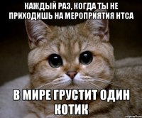 каждый раз, когда ты не приходишь на мероприятия нтса в мире грустит один котик