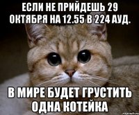 если не прийдешь 29 октября на 12.55 в 224 ауд. в мире будет грустить одна котейка