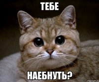 тебе наебнуть?