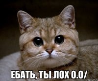  ебать, ты лох о.о/