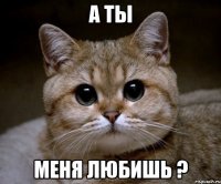 а ты меня любишь ?