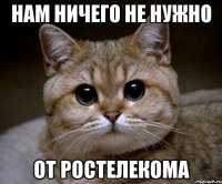 нам ничего не нужно от ростелекома