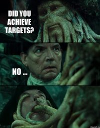 DID YOU ACHIEVE TARGETS? NO ... 