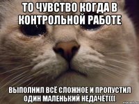 то чувство когда в контрольной работе выполнил всё сложное и пропустил один маленький недачёт(((