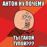 антон ну почему ты такой тупой???