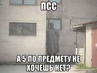 псс а 5 по предмету не хочешь нет?