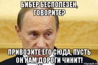 бибер бесполезен, говорите? привозите его сюда, пусть он нам дороги чинит!