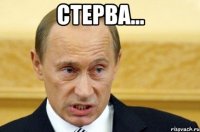 стерва... 