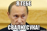 я тебе свалю сука!