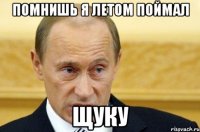 помнишь я летом поймал щуку