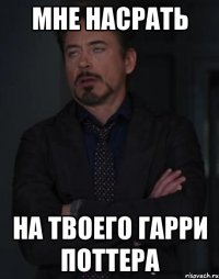 мне насрать на твоего гарри поттера