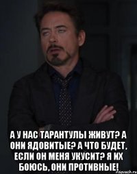  а у нас тарантулы живут? а они ядовитые? а что будет, если он меня укусит? я их боюсь, они противные!