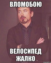 вломобою велосипед жалко