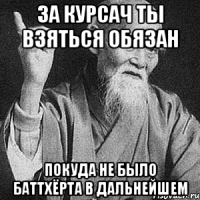 за курсач ты взяться обязан покуда не было баттхёрта в дальнейшем