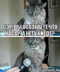 Сэр, вы осознаете что насыча нету нигде?