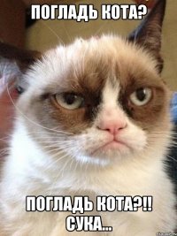 погладь кота? погладь кота?!! сука...