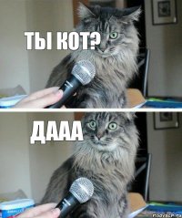 ты кот?  дааа