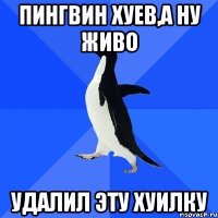 пингвин хуев,а ну живо удалил эту хуилку