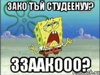 зако тъй студеенуу? ззаакооо?