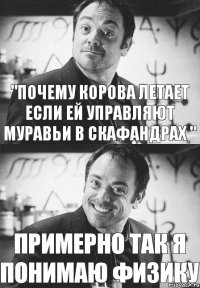  "Почему корова летает если ей управляют муравьи в скафандрах " Примерно так я понимаю физику