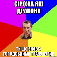 сірожа які дракони ти шо знов з городськими траву курив