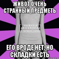 живот очень странный предметь его вроде нет, но складки есть