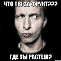 что ты за фрукт??? где ты растёш?