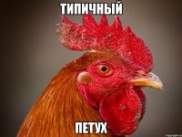 типичный петух