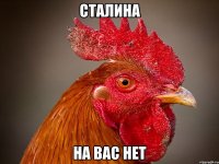 сталина на вас нет