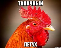 типичный петух