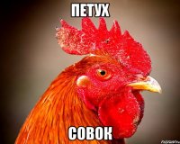 петух совок