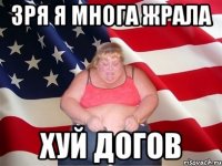 зря я многа жрала хуй догов