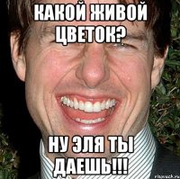 какой живой цветок? ну эля ты даешь!!!