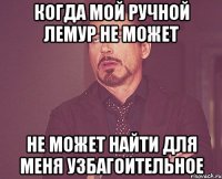 когда мой ручной лемур не может не может найти для меня узбагоительное