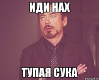 иди нах тупая сука