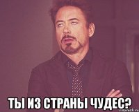  ты из страны чудес?