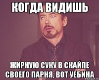 когда видишь жирную суку в скайпе своего парня, вот уебина