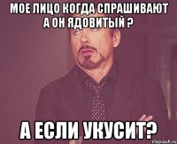 мое лицо когда спрашивают а он ядовитый ? а если укусит?