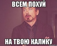 всем похуй на твою калику