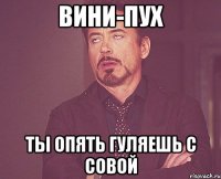 вини-пух ты опять гуляешь с совой