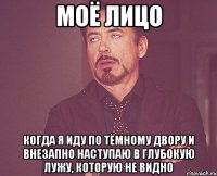 моё лицо когда я иду по тёмному двору и внезапно наступаю в глубокую лужу, которую не видно